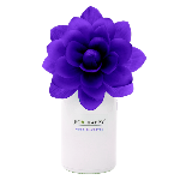 Fleur parfumée Mûre sauvage Eco Happy 75ml