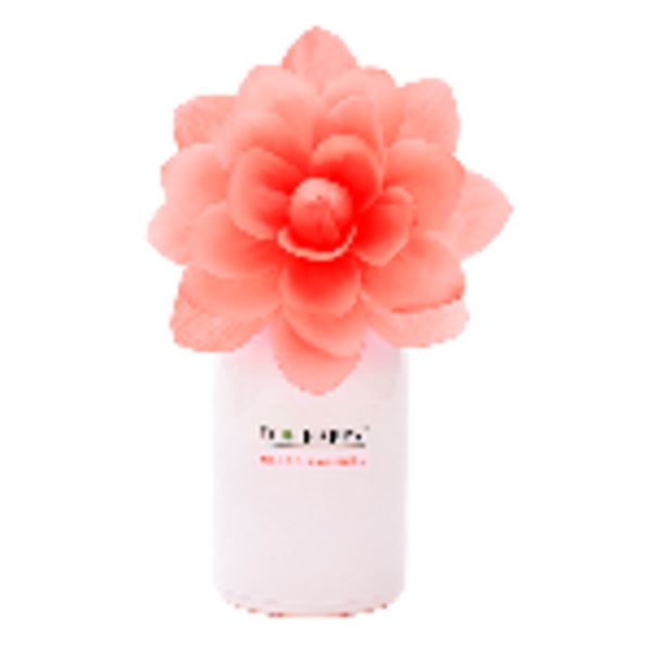 Fleur parfumée Mangue Tropical Eco Happy 75ml