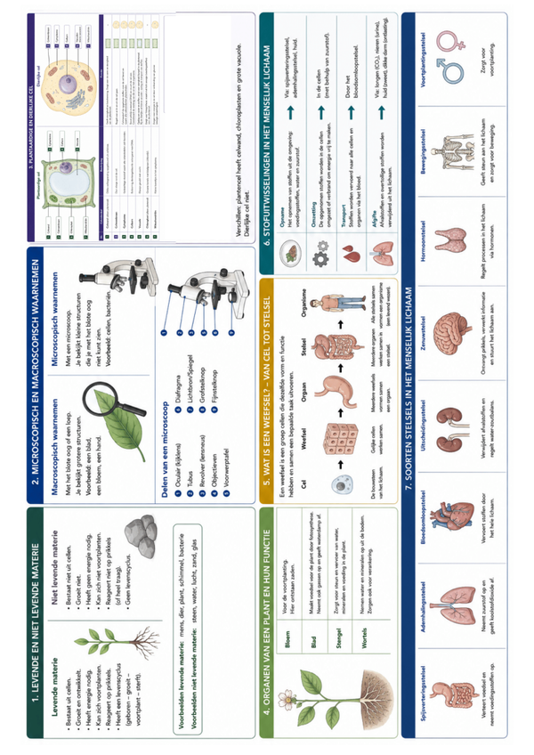 Visuele samenvatting van cel tot stelsel 1 samenvatting