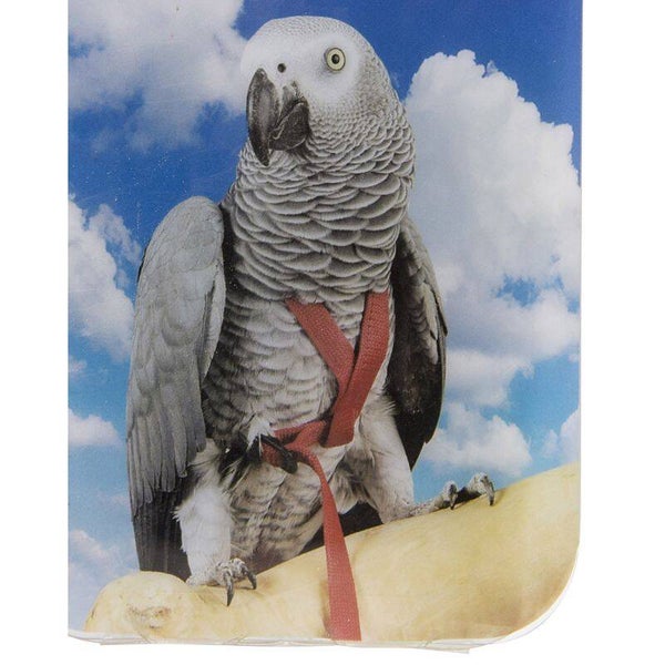 Harnais pour oiseaux.