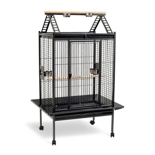 CAGE PERROQUET PAULA