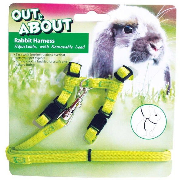 LAPIN HARNAIS ET LAISSE VERT