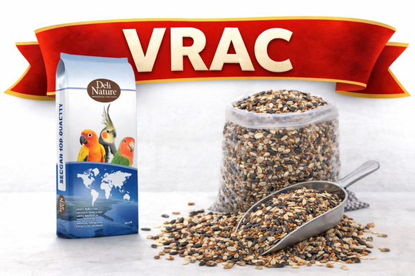 1kg VRAC : 69 Deli nature « Grande perruche avec tournesols »