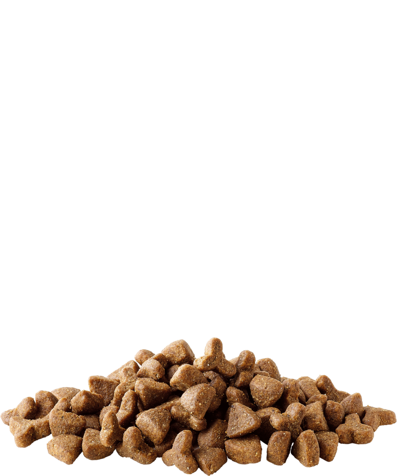 1kg VRAC - Croquettes furets ; ferret complète Versele laga