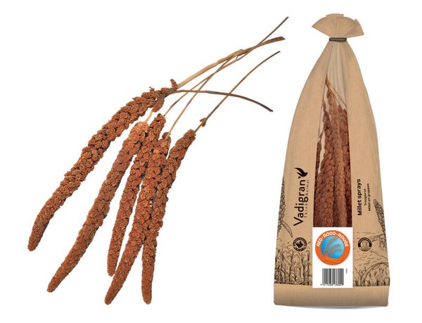 Millet rouge en grappe 400gr