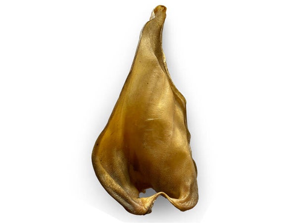 1x Oreille de boeuf