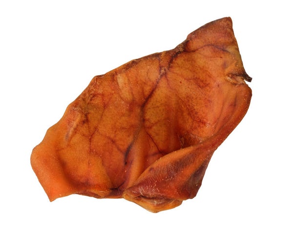 1x Oreille de porc