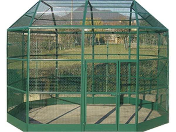 Volière Roma vert 350x230x265cm (5 Box)
