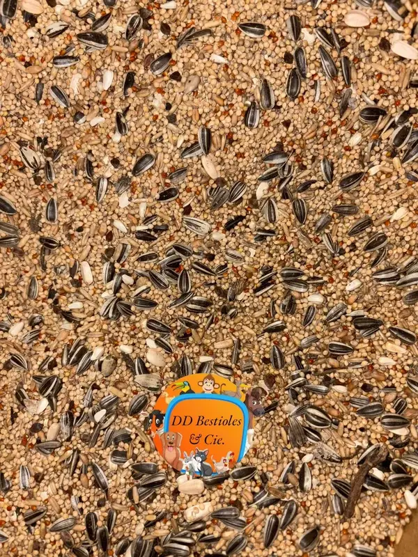 Graines Grandes perruches - Vrac 5kg - DD Bestioles & cie