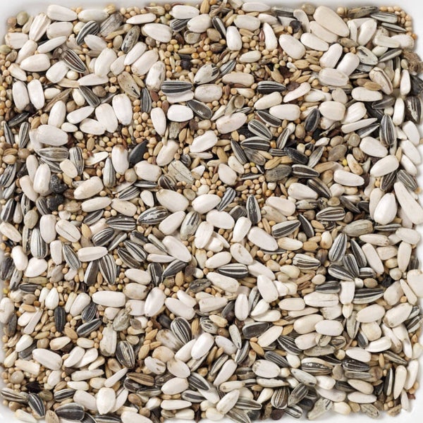 59 Grandes perruches standard 15kg - Deli nature