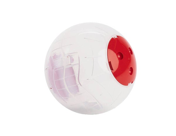 balle d'exercice 18cm rongeur
