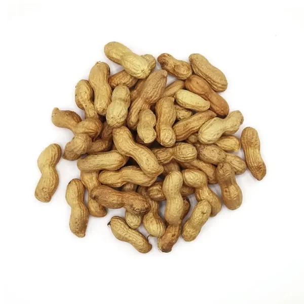 ARACHIDES EN COQUES 1KG vrac