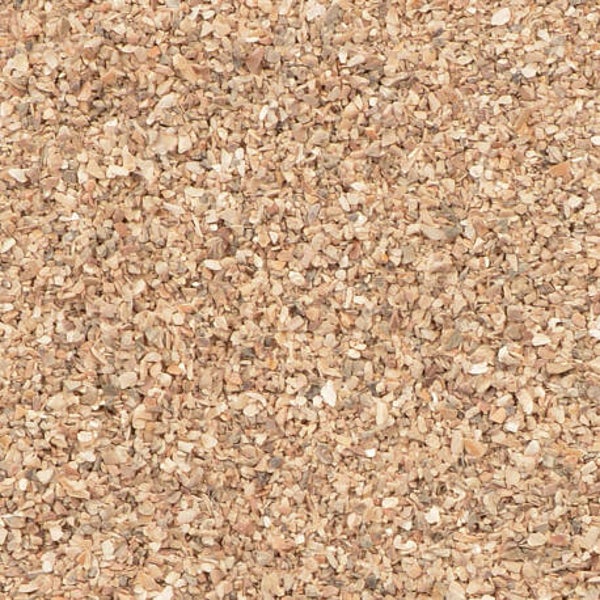 Écailles d'huitres fines : Plusieurs quantités disponibles