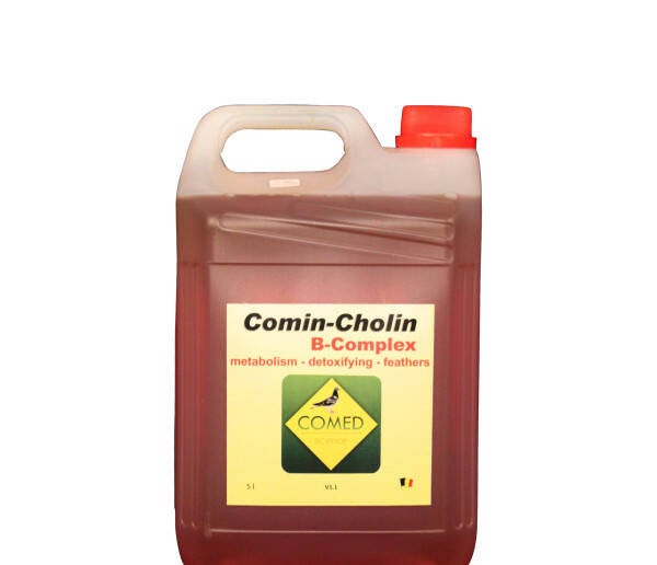 Comin-Cholin B-complex 5L