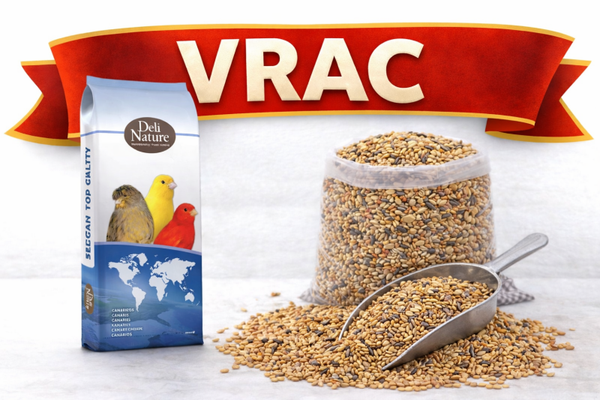 1kg de VRAC : 80 Canaris élevage sans navette Deli nature