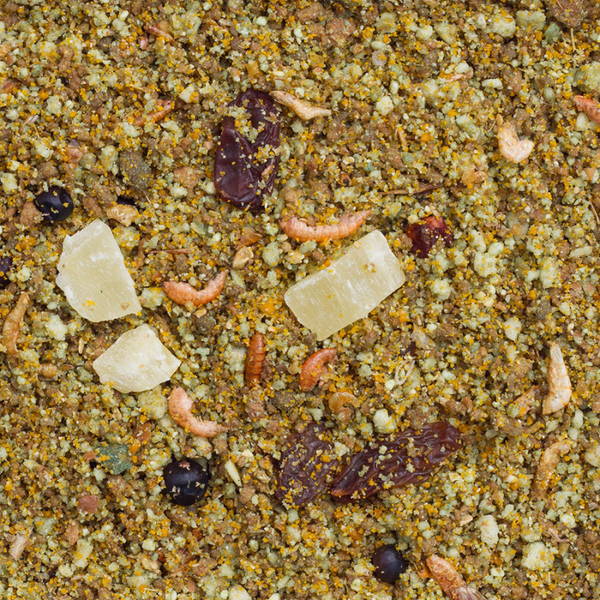 1Kg VRAC Pâtée aux Fruits  - Déli Nature