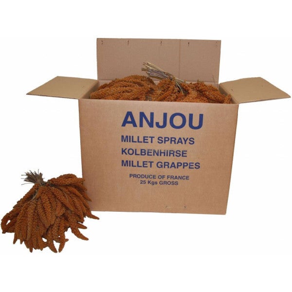 Millet rouge en grappe 1kg - Français - Vrac