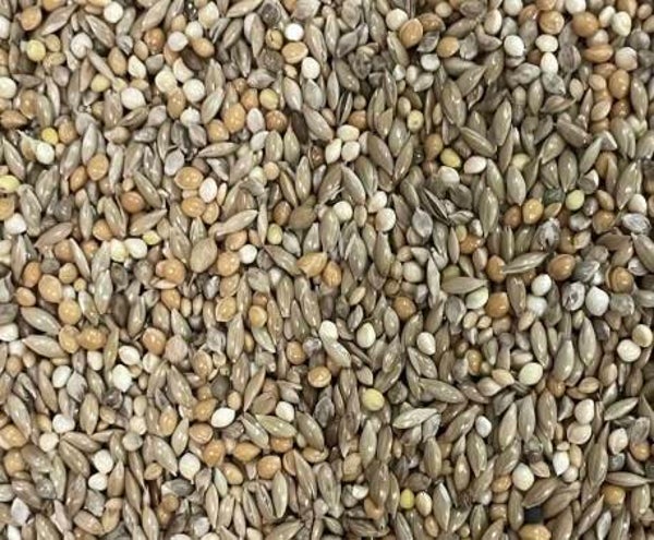 Mélange de graines pour Goulds "Goulds 222" - 20kg - Hoebregts