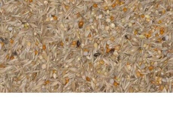 Blattner Diamant (Erythrura) Spécial 15kg