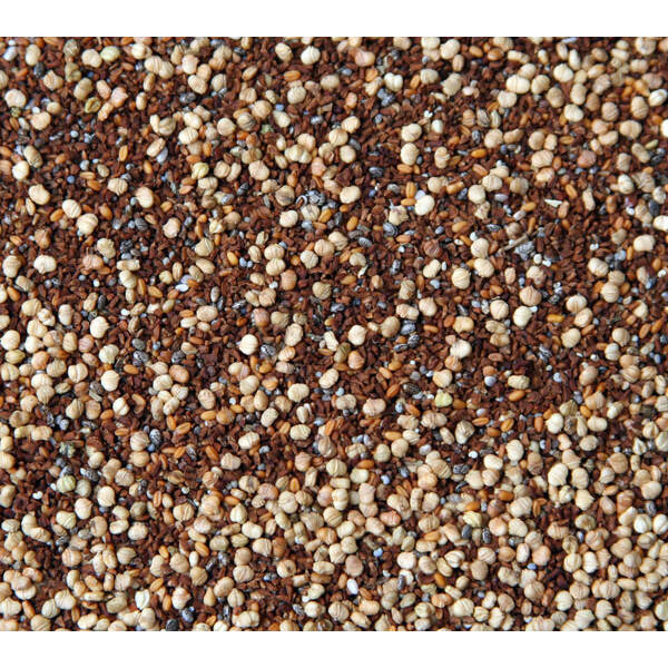 Graines sauvage avec du chia 5kg - Blattner