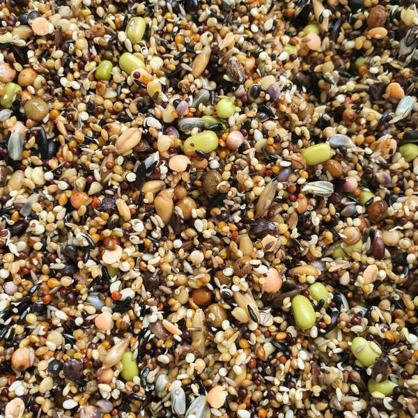 Graines à germer 3kg - Herb bird mix
