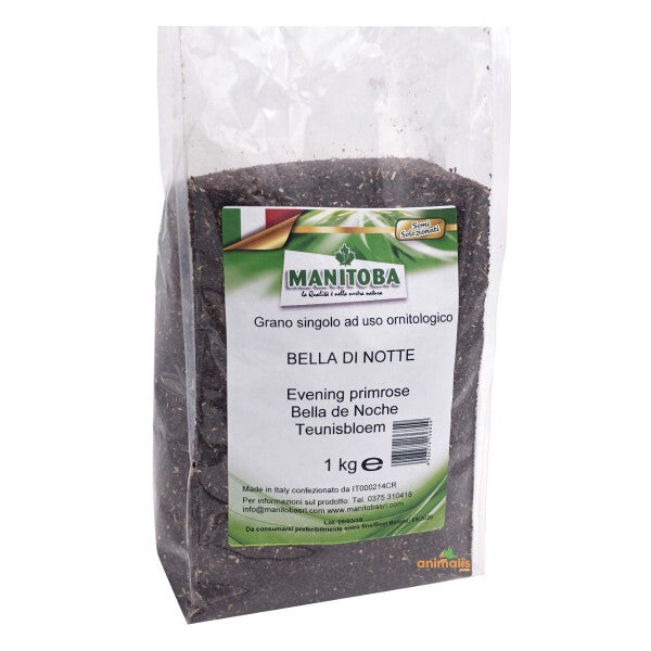 Graines D'onagre "Bella Di Notte" 1kg - Manitoba