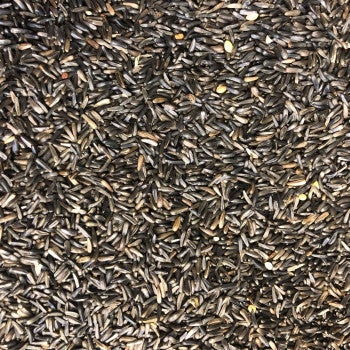 Graines de Niger 15 kg