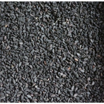 Graines d'oignon 5kg - Blattner