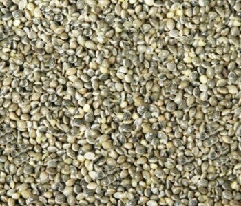 Millet vert 5kg - Blattner