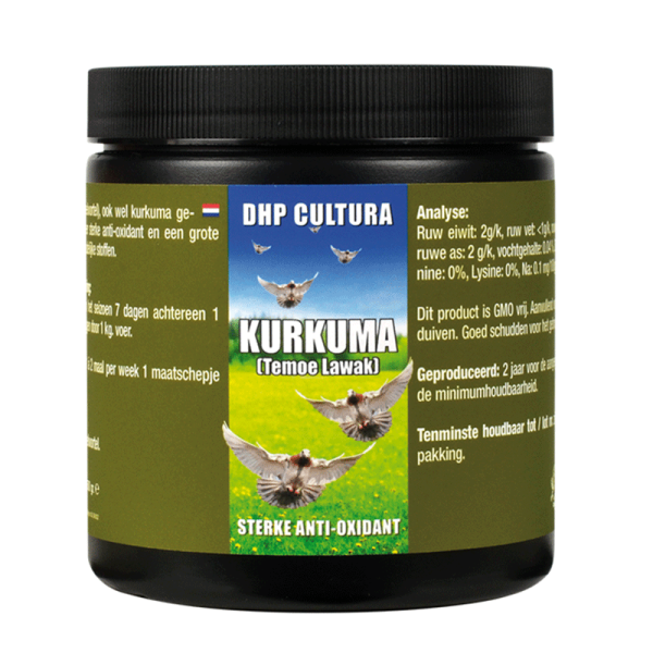 Curcuma en poudre 500g - DHP Cultura
