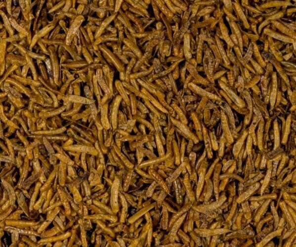 Pinkies sèche 1kg - Blattner