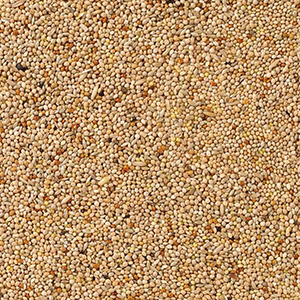 51 - Perruches Base 1kg en vrac Deli Nature