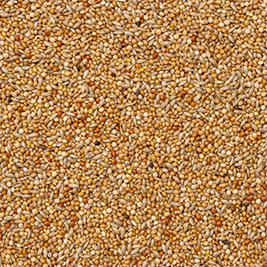 40 - Oiseaux Exotiques Base 1kg VRAC Deli nature
