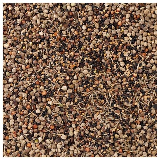Graines de santé 1KG Vrac