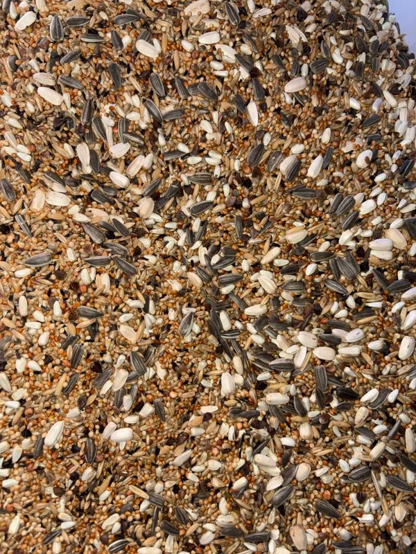 1kg VRAC : 69 Deli nature « Grande perruche avec tournesols »