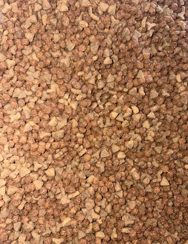 1kg VRAC - Croquettes furet ; DD Bestioles & cie