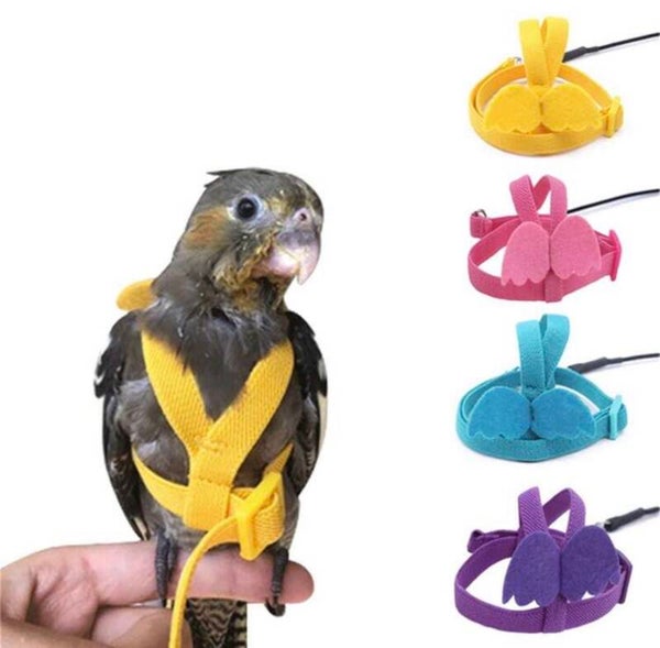 Harnais pour oiseau