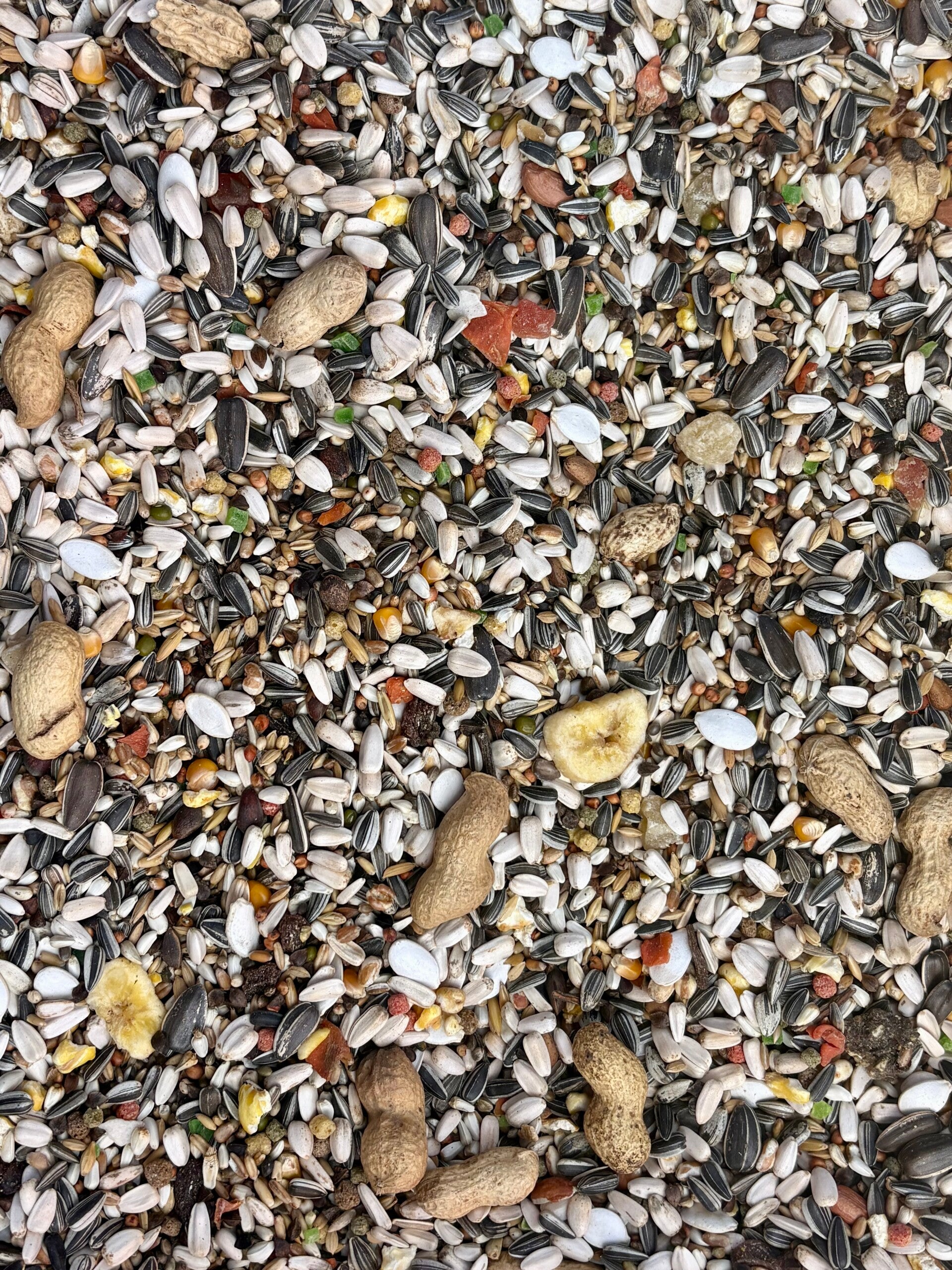 Mélange graines perroquet 1kg en vrac