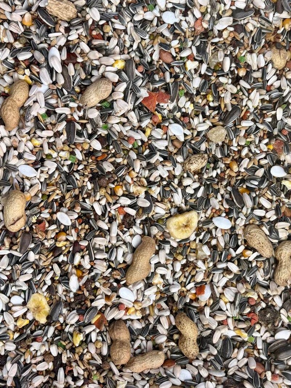 Mélange graines perroquet 1kg en vrac
