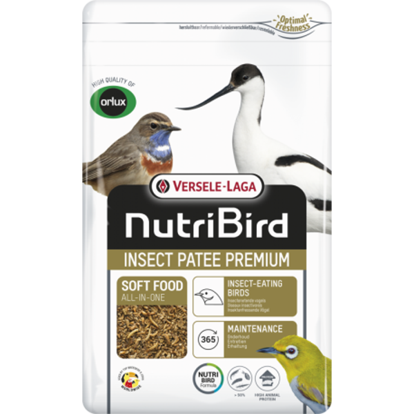 Insect Patee Premium 500g - Aliment Complet Pour Tous Les Insectivores