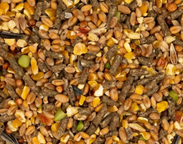 LMX - Mélange pour poules pondeuses 20kg - Gold 4 Mix