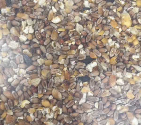 Mélange de graines concassées pour poules 25kg