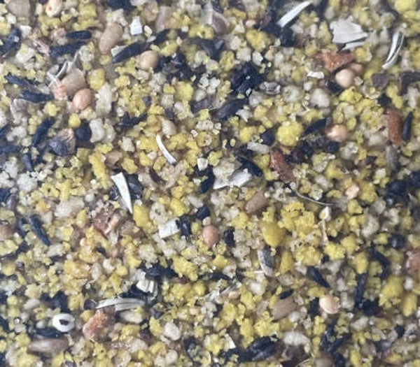 Pâtée pour oiseaux indigènes 10kg - Hoebregts