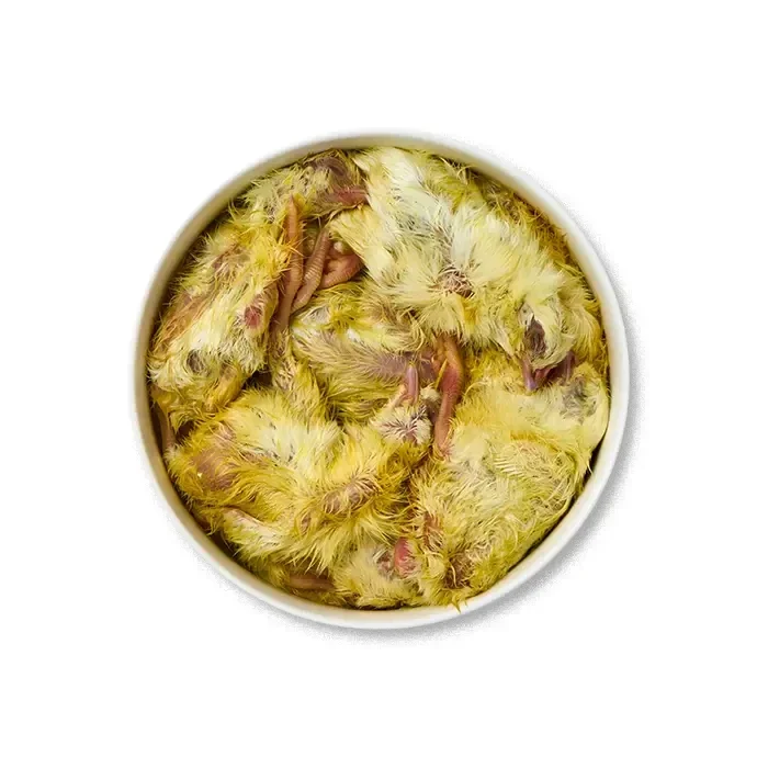 Poussins congelés de 1j. 1kg VRAC