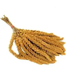 Millet jaune chinois en Grappes 1Kg en vrac