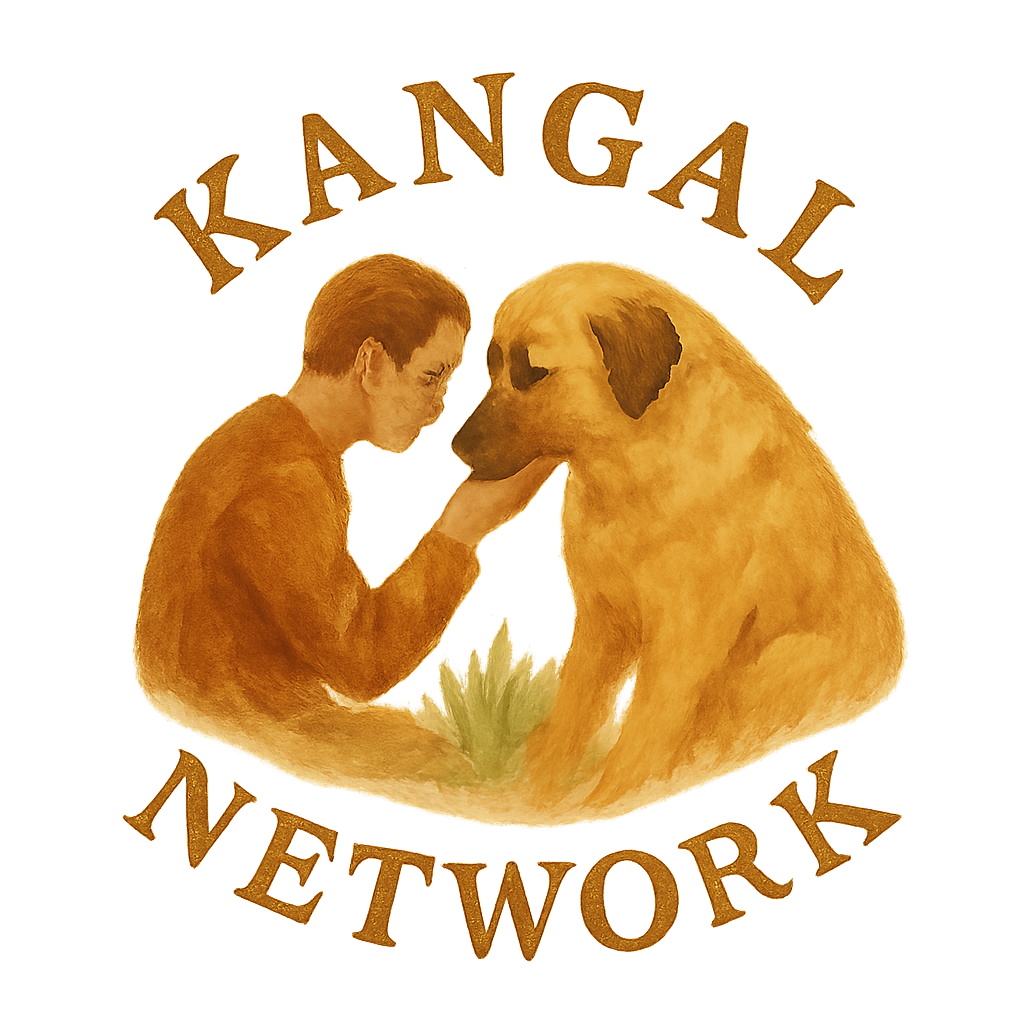 Innere Ruhe & klare Führung