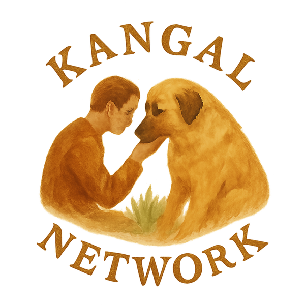 Die geheime Sprache der Hunde