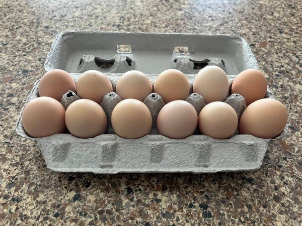Farm Fresh Free-Range Eggs