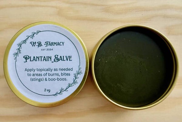 Plantain Salve