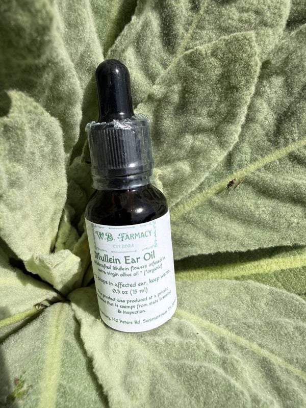 Mullein Ear Oil